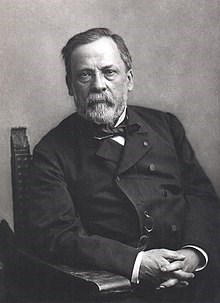 Foto Ilmuwan Louis Pasteur